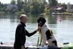Spring Water Camp Senec 2025