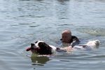 Spring Water Camp Senec 2025