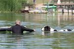 Spring Water Camp Senec 2025
