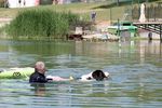 Spring Water Camp Senec 2025