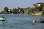 Spring Water Camp Senec 2025
