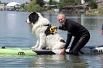 Spring Water Camp Senec 2025