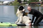 Spring Water Camp Senec 2025